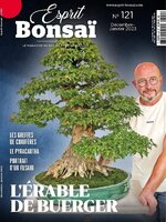 Esprit Bonsai